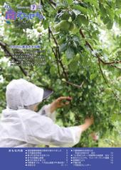 平成24年(2012年)7月号